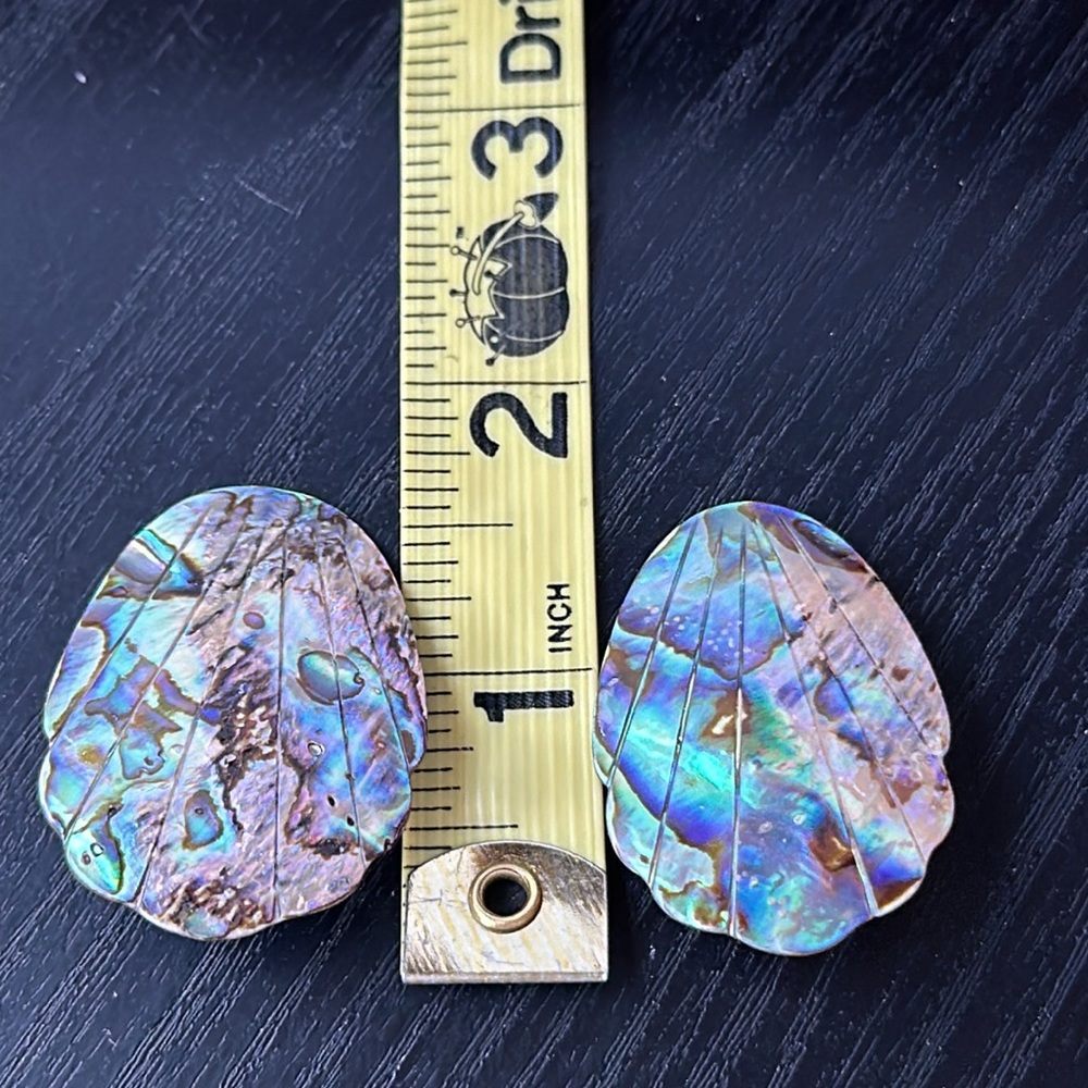 Vintage Abalone Shell Clip On Earrings - Picture 6 of 8